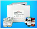 BAG family molecular chaperone regulator 2 (BAG2) ELISA Kit, Human
