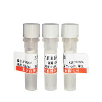 北京血影蛋白A链非红细胞型/收缩蛋白/Spectrin α抗体现货价格