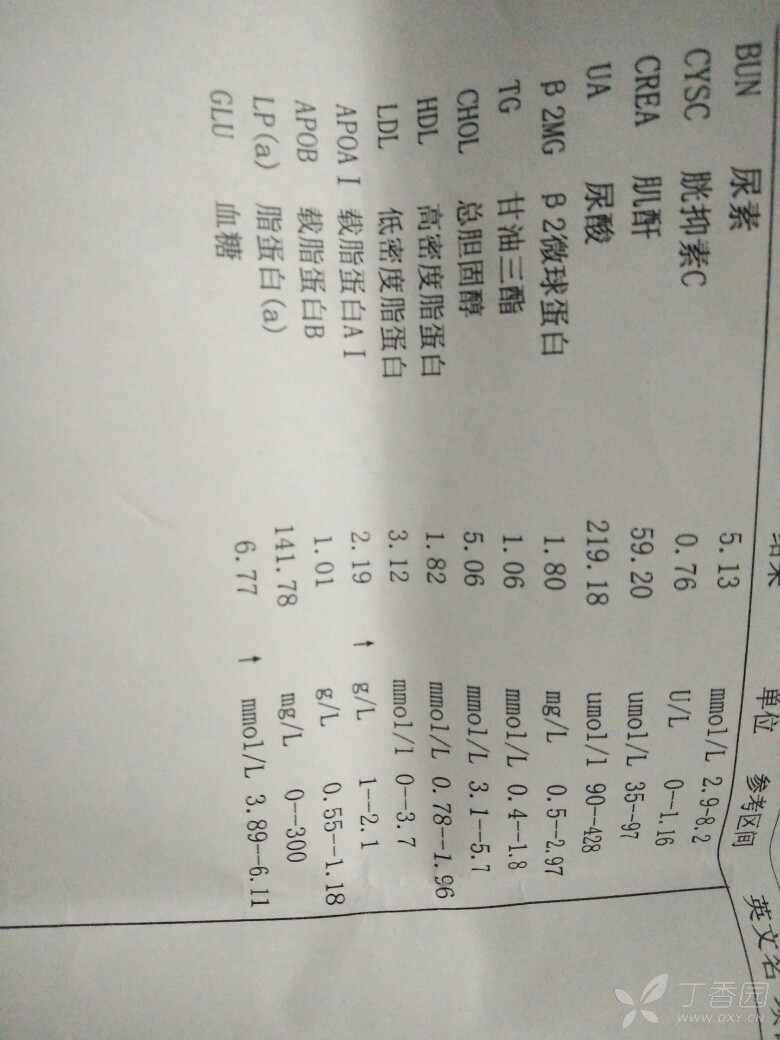 3278045441241569683-16w.jpg