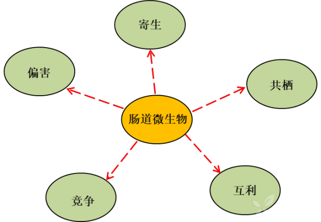 3278052611689212290-8w.png!w640