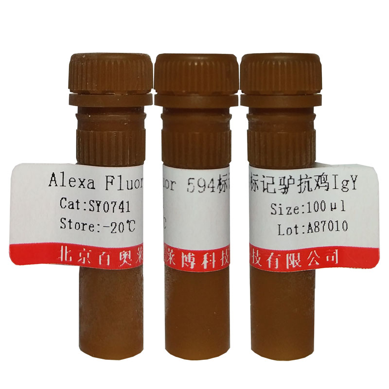 Macro H2A.2抗体(国产,进口)