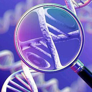 全基因組甲基化測序（WGBS）