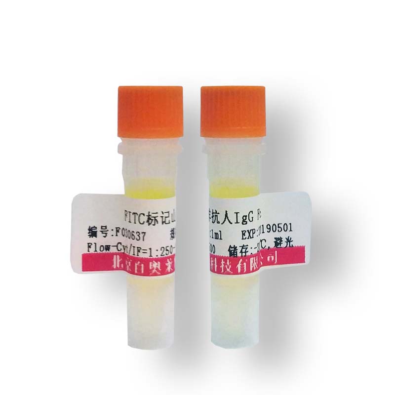 北京磷酸化MCK10 (Tyr513)抗体厂家价格