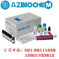人血管生成素1(ANG-1)ELISA试剂盒 Human Angiopoietin 1,ANG-1 ELISA Kit 48T/96T