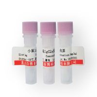 北京现货辛诺柏病毒糖VP4/外层衣壳蛋白VP4/猴轮状病毒VP4抗体促销