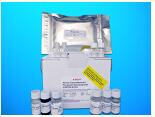 Annexin IV (ANX-IV ELISA Kit (ANXA4), Human