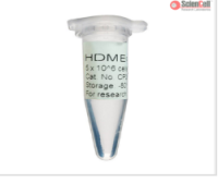 人淋巴内皮细胞pellets