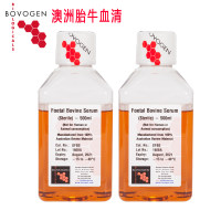 Bovogen 胎牛血清 澳洲血源