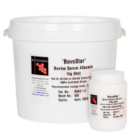 牛血清白蛋白(BSA)