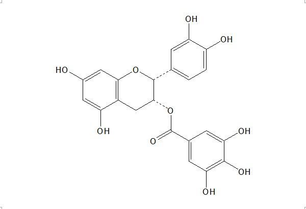 表儿茶素没食子酸酯（1257-08-5）