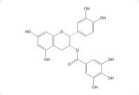 表儿茶素没食子酸酯（1257-08-5）