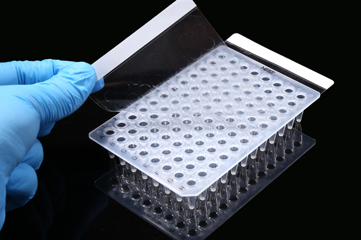 PCR普通胶粘封板膜（410001）