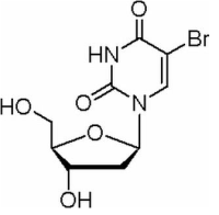 5-溴-2-脱氧尿苷