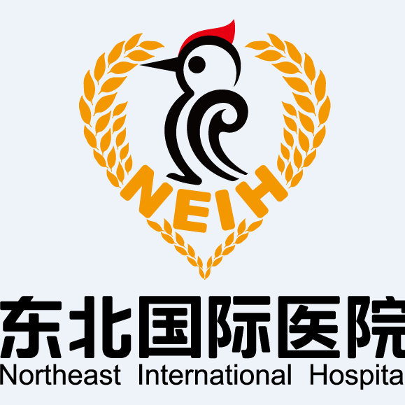 中一集团东北国际医院