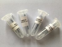 Doccol线栓;大鼠MCAO线栓;MCAO栓线;脑缺血线栓
