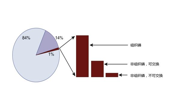 Fig2.jpg