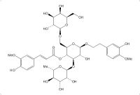 焦地黄苯乙醇苷B1(120406-37-3)