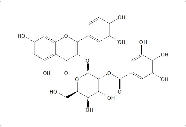 2''-O-没食子酰基金丝桃苷（53209-27-1）
