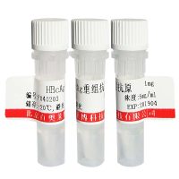 GAS 6抗体库存