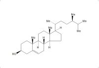 菜油甾醇（474-62-4）