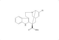 长春质碱(2468-21-5)