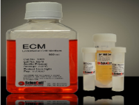 内皮细胞培养基