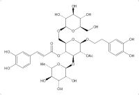 管花苷A（112516-05-9）