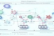 免疫球蛋白治疗 Sepsis  依据与现状