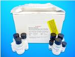 Charged multivesicular body protein 1a (CHMP1A) ELISA Kit, Human