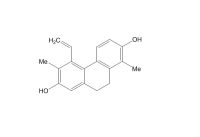灯心草酚（62023-90-9）
