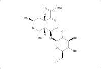 7-O-乙基莫诺苷（945721-10-8）