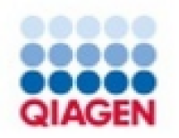 cDNA第一链合成试剂盒