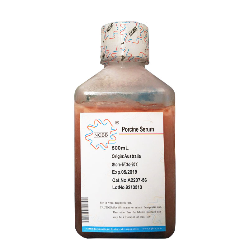 6%猪红细胞供应