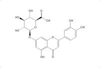 木犀草素-7-O-葡萄糖醛酸苷（29741-10-4）