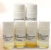 20012 Immunization Grade Chick Type II Collagen免疫级鸡II型胶原