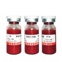 北京现货Hyclone新西兰加强型小牛血清哪里卖