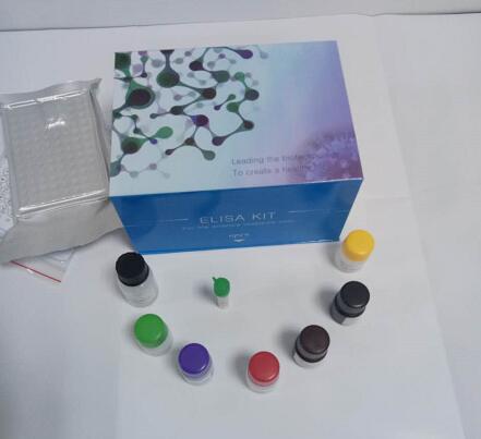 人类粘蛋白（ORM）ELISA 试剂盒