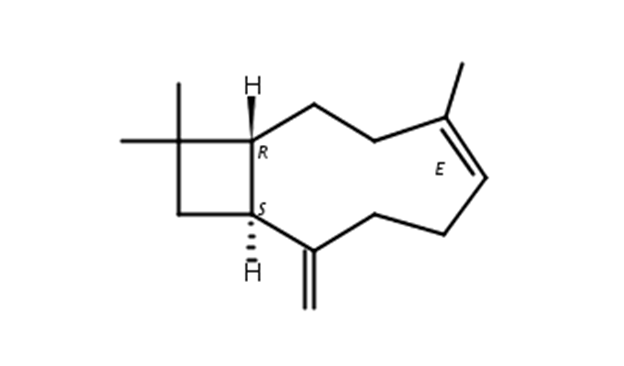 β-石竹烯（87-44-5）