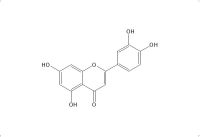 木犀草素（491-70-3）