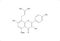 槐黄醇（216450-65-6）