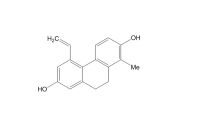 厄弗酚（73166-28-6）