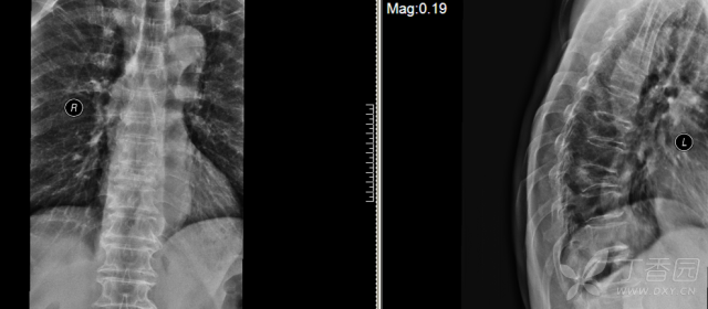 3279169509344505684-8w.png!w640