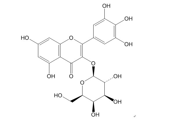 杨梅素-3-O-半乳糖苷（15648-86-9）