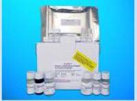 Cubilin (CUBN) ELISA Kit, Human