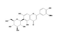 异金雀花素（20013-23-4）