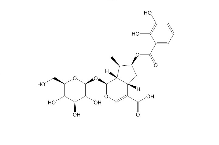 乌奴龙胆苷D（157722-21-9）