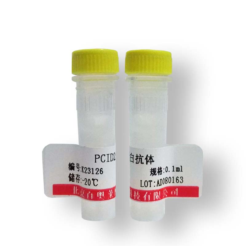 兔抗卵清蛋白抗体(FITC标记) FITC标记抗体