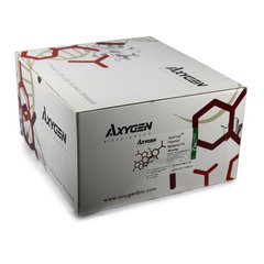 人抗心肌抗体（AMA）ELISA试剂盒