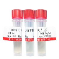 小鼠抗人IgG Fab抗体(FITC标记) FITC标记抗体