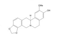 碎叶紫堇碱(483-44-3)